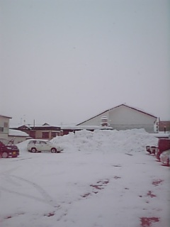 100115_112702.jpg