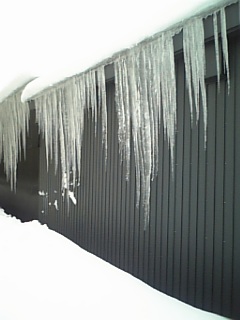 100119_082417.jpg