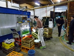 P1030767.JPG