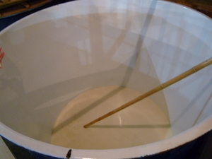 P1050213.JPG