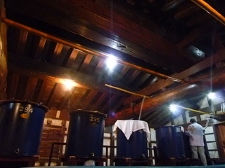 P1050219.JPG