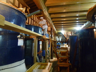 P1050223.JPG