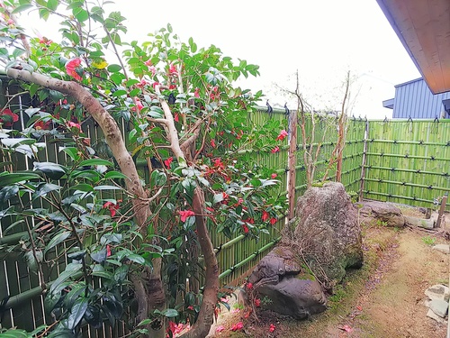 C360_2018-04-24-12-00-01-893.jpg