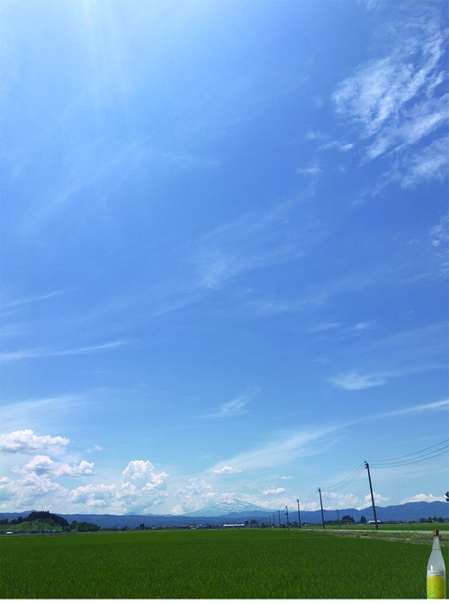 山バタ.jpg