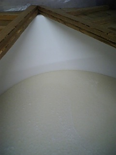 http://www.fukukomachi.com/blog/photo/090210_1.jpg