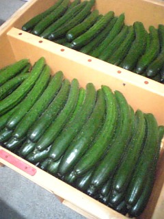 http://www.fukukomachi.com/blog/photo/090702_123802.jpg