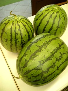 http://www.fukukomachi.com/blog/photo/090702_143854.jpg