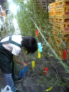 http://www.fukukomachi.com/blog/photo/090804_164357.jpg