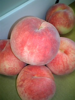 http://www.fukukomachi.com/blog/photo/090901_163725.jpg