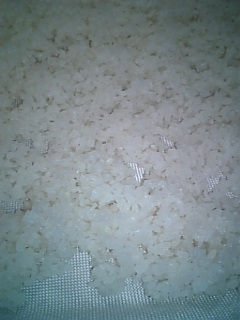 http://www.fukukomachi.com/blog/photo/091127_142043.jpg