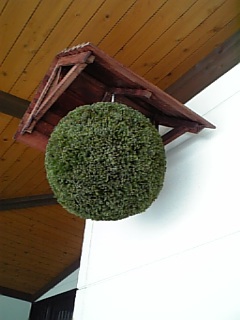 http://www.fukukomachi.com/blog/photo/100115_112536.jpg