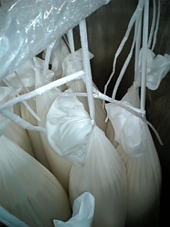 http://www.fukukomachi.com/blog/photo/100408_091909.jpg