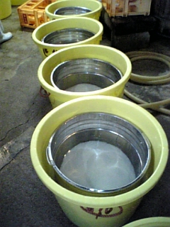 http://www.fukukomachi.com/blog/photo/101021_142237.jpg