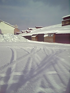 http://www.fukukomachi.com/blog/photo/20090114_2.jpg
