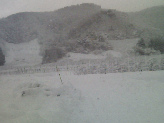 http://www.fukukomachi.com/blog/photo/20090115_2.jpg