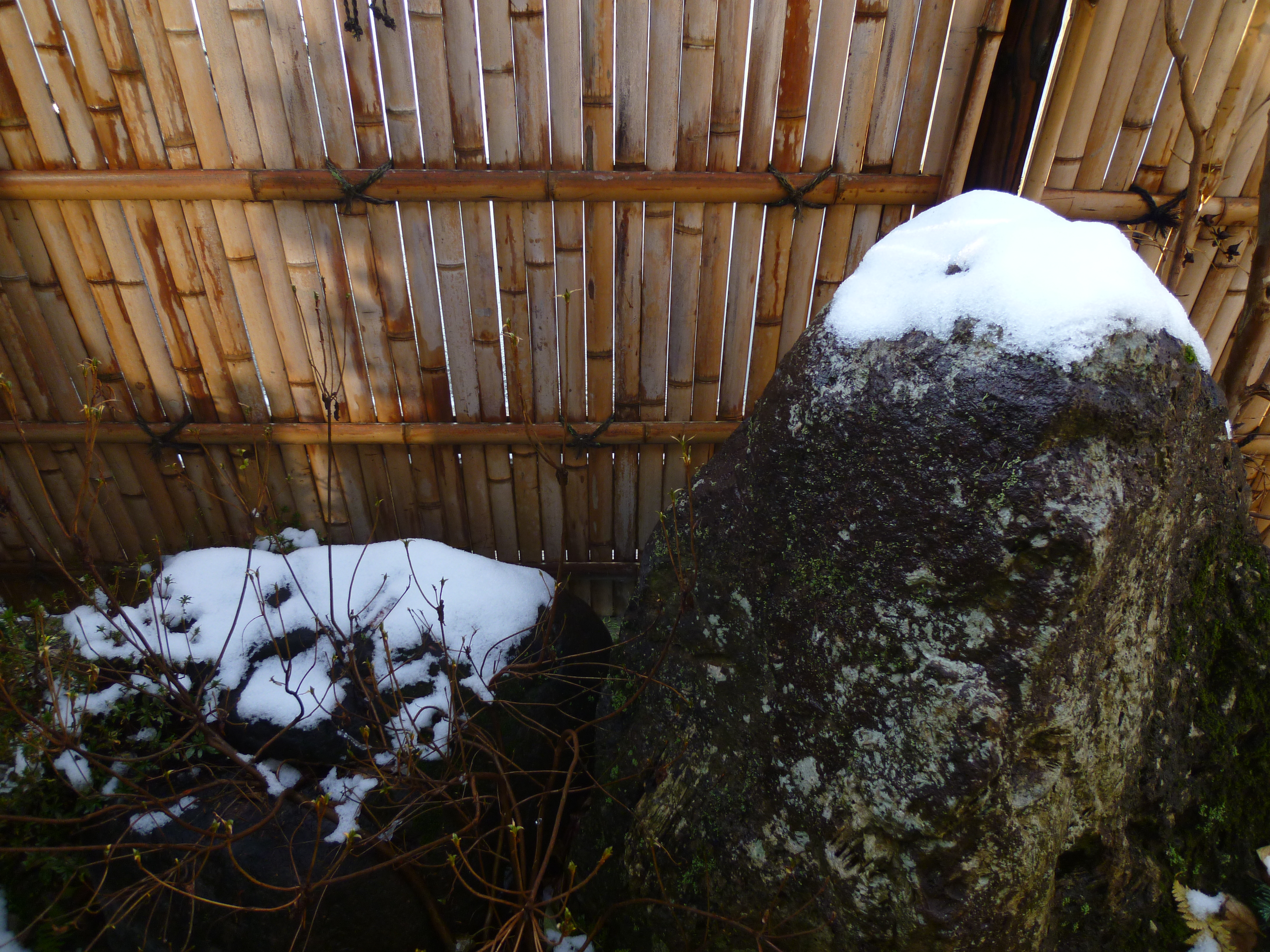 http://www.fukukomachi.com/blog/photo/20101126%20026.jpg