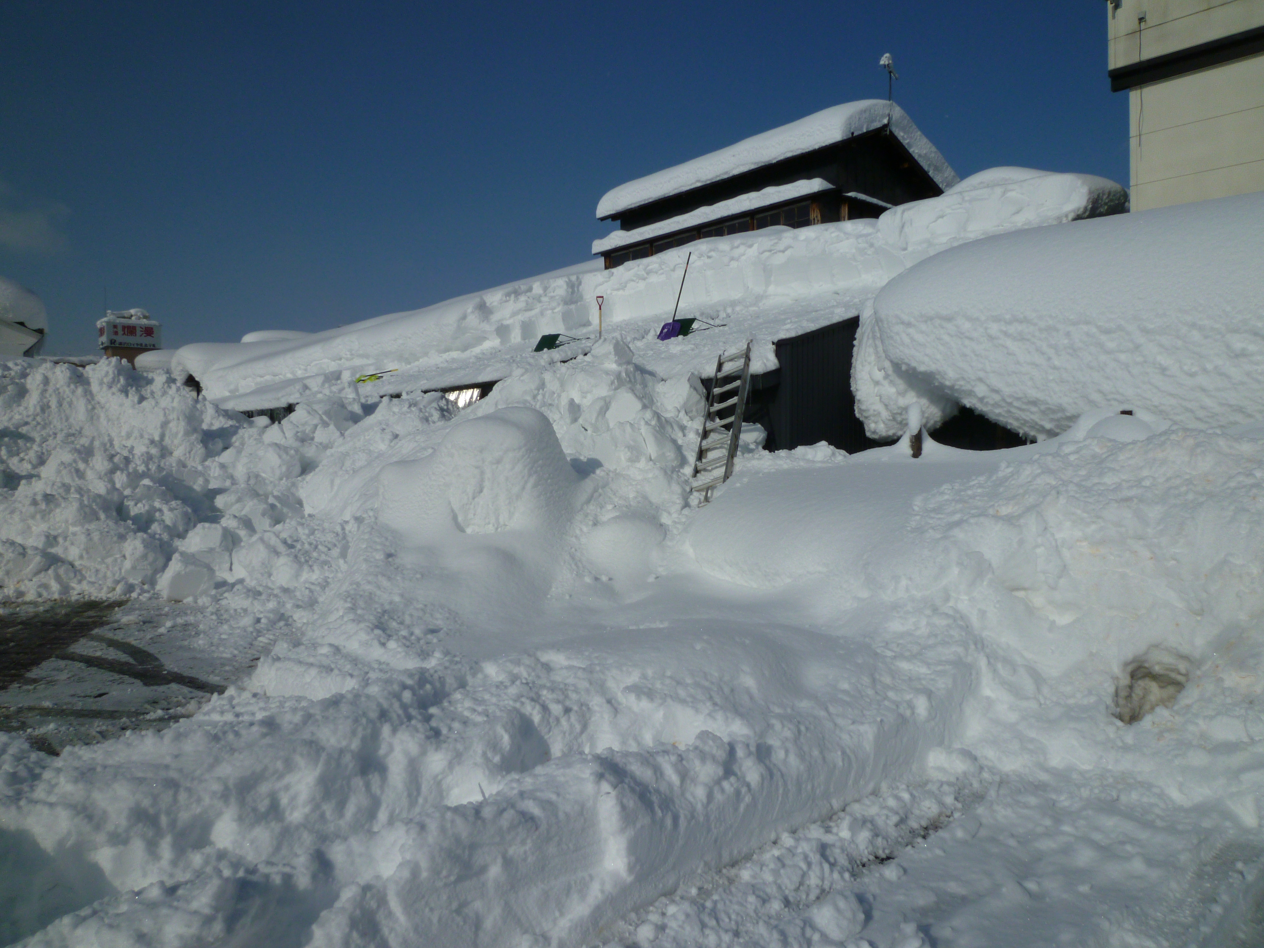 http://www.fukukomachi.com/blog/photo/20110114%20002.jpg