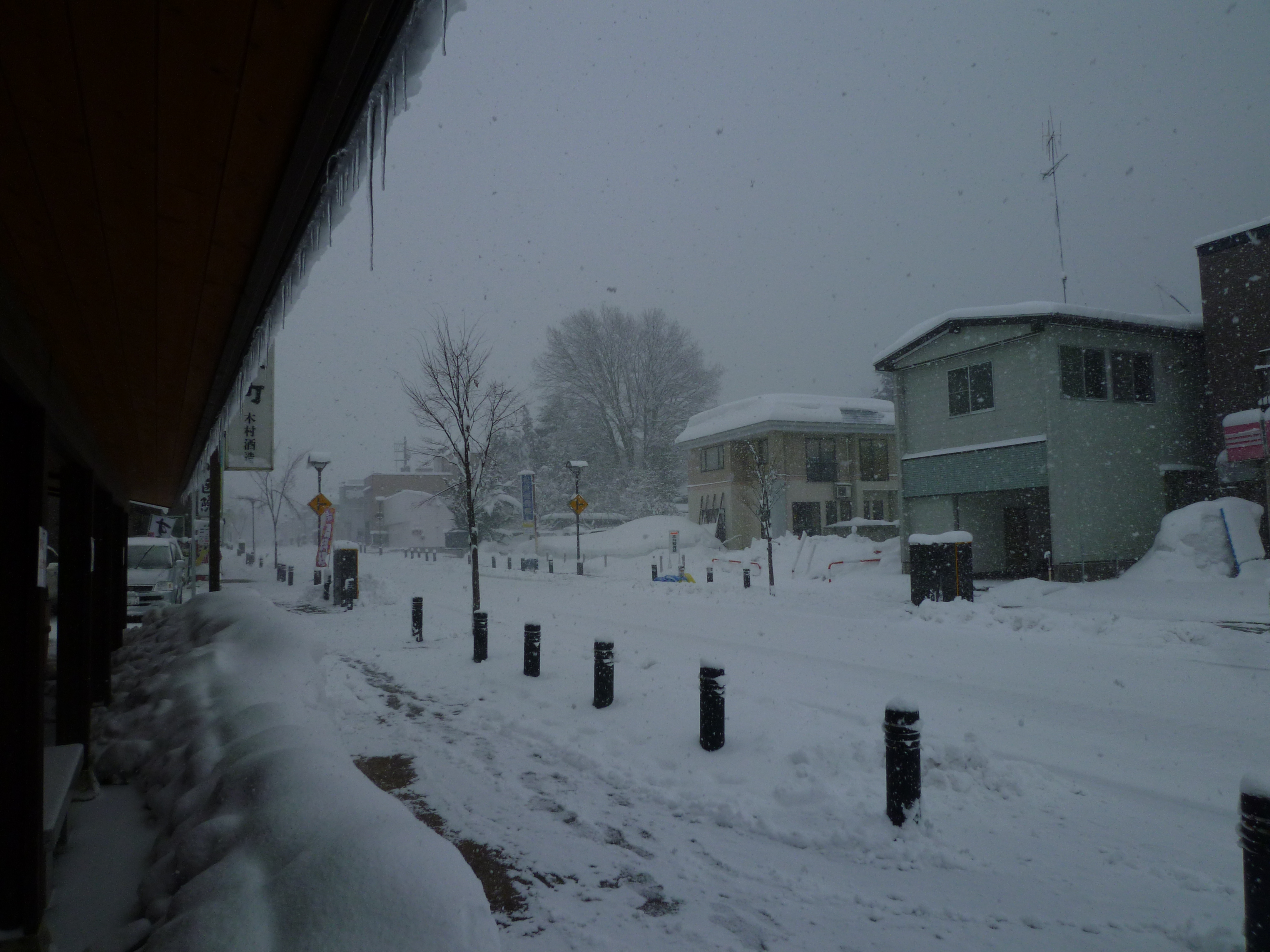 http://www.fukukomachi.com/blog/photo/20110303.jpg
