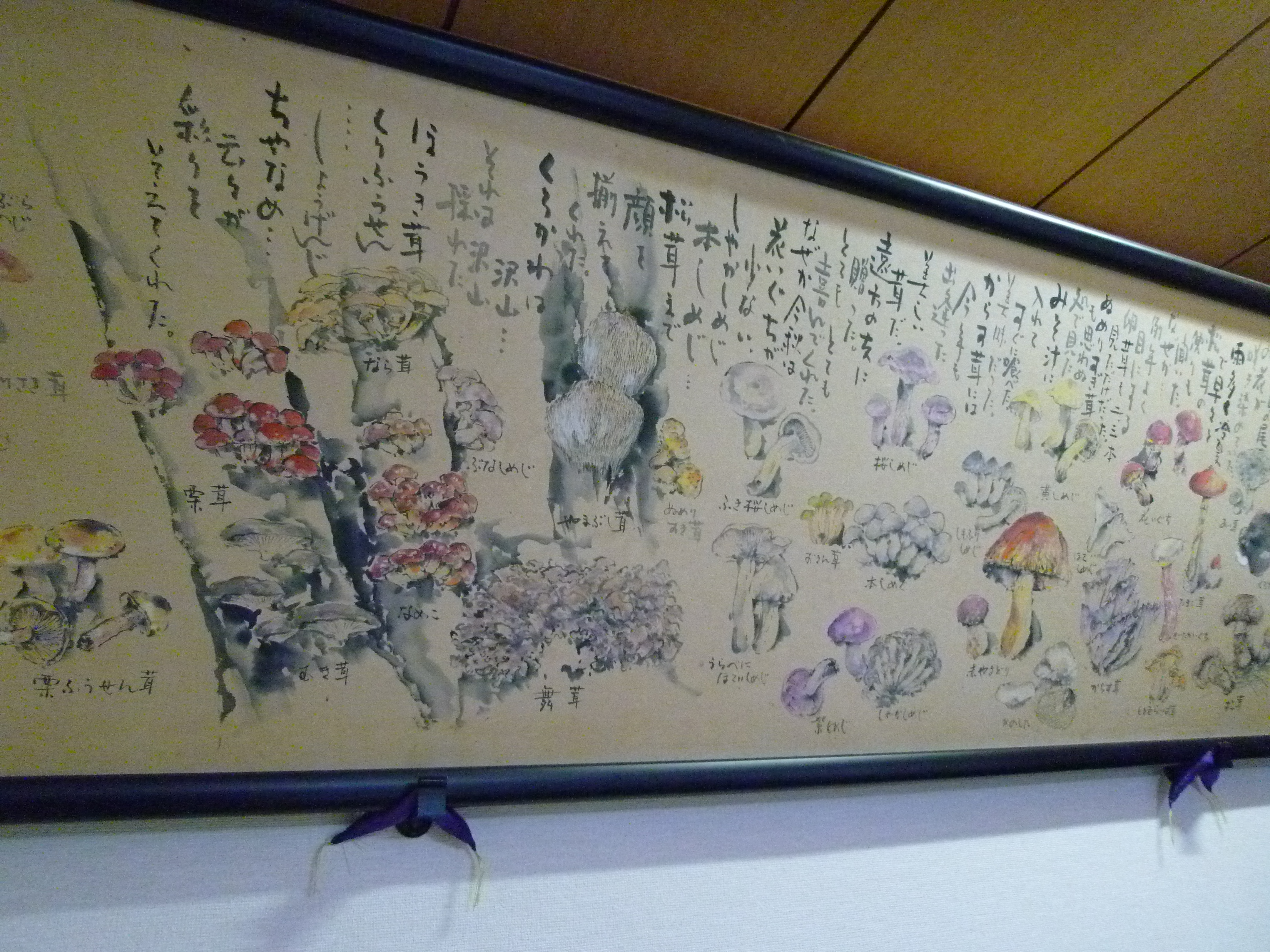 http://www.fukukomachi.com/blog/photo/20110513%20004.jpg