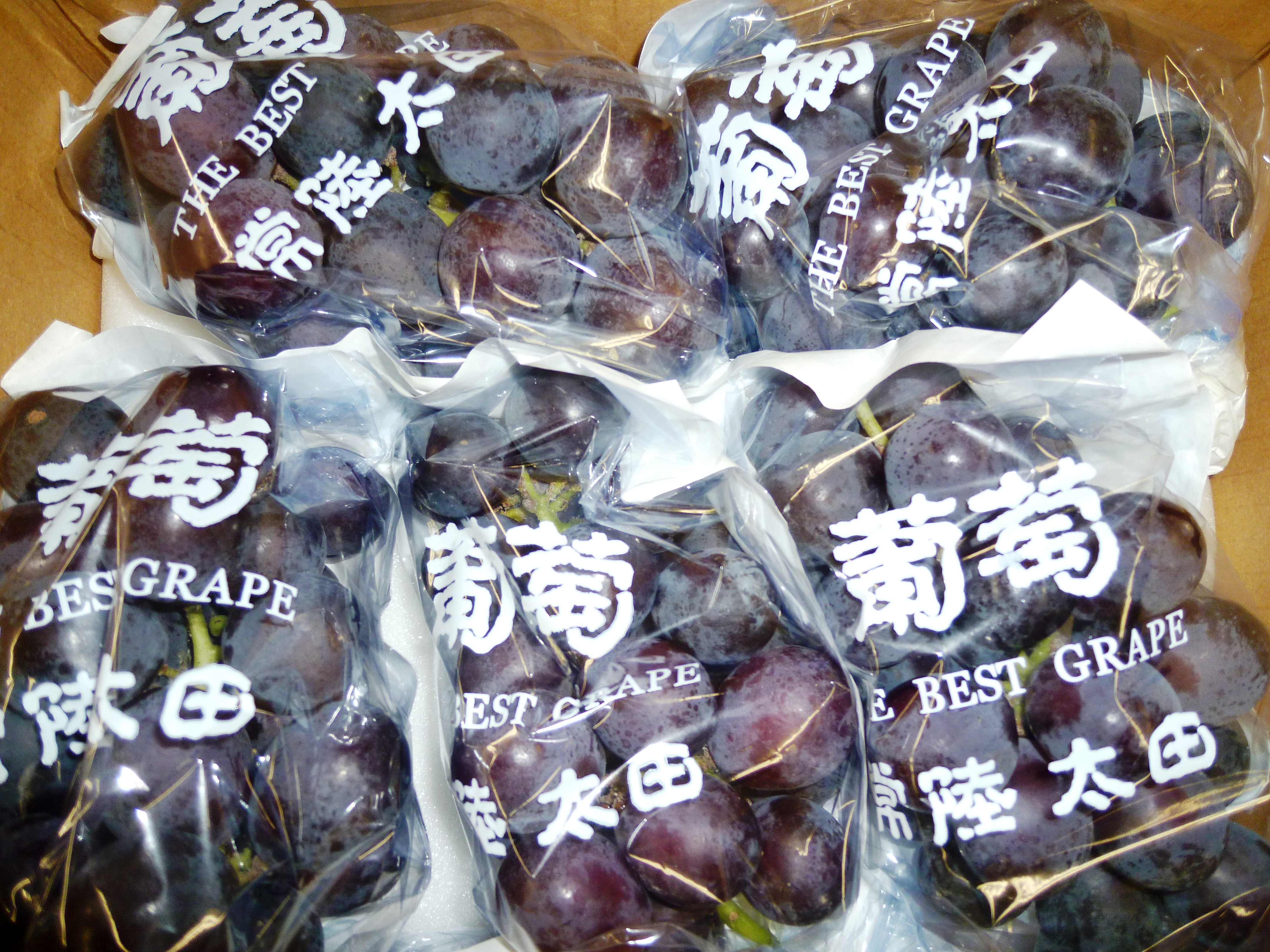 http://www.fukukomachi.com/blog/photo/20110901%20006.jpg