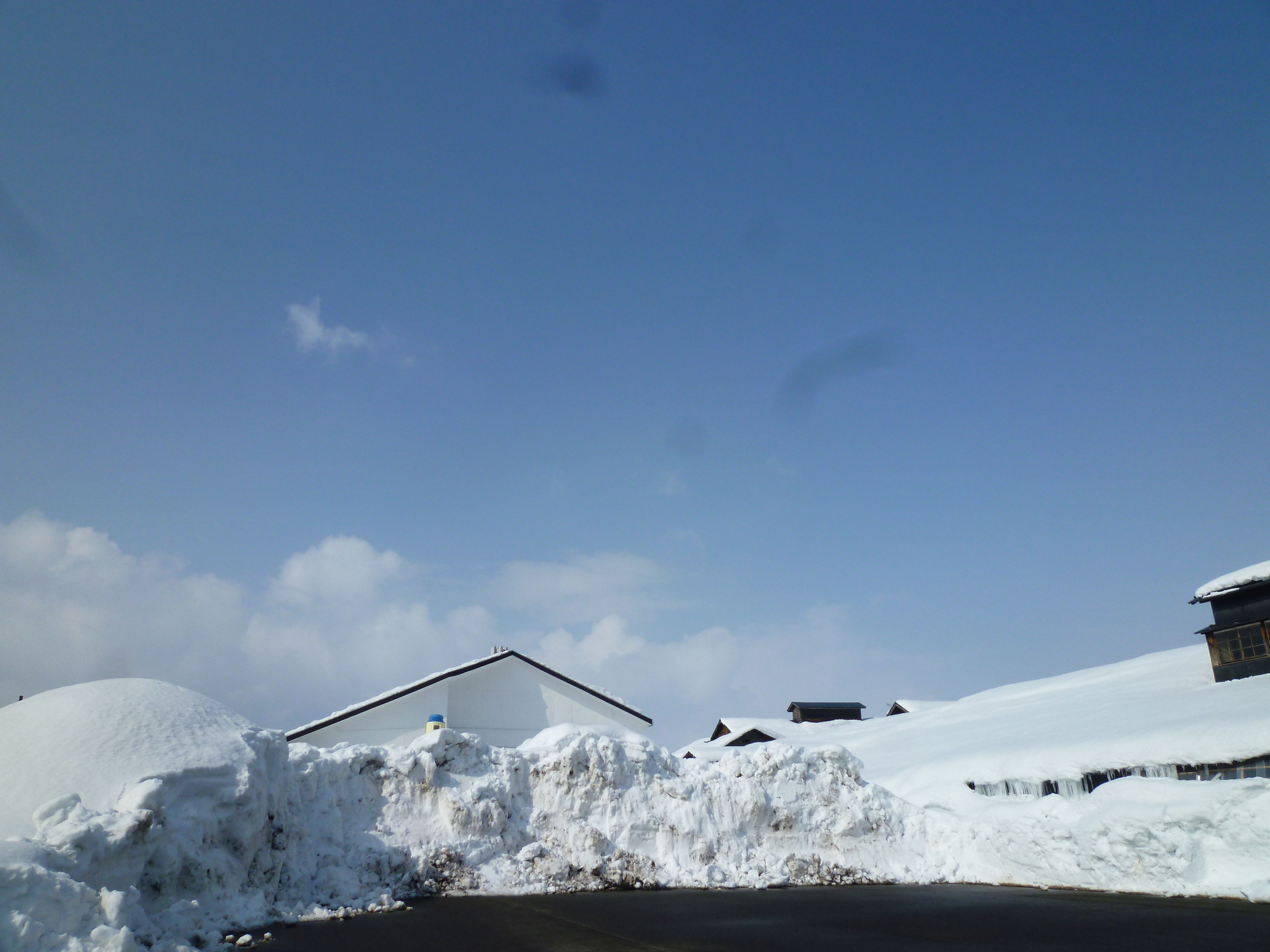 http://www.fukukomachi.com/blog/photo/20120224%20003.jpg