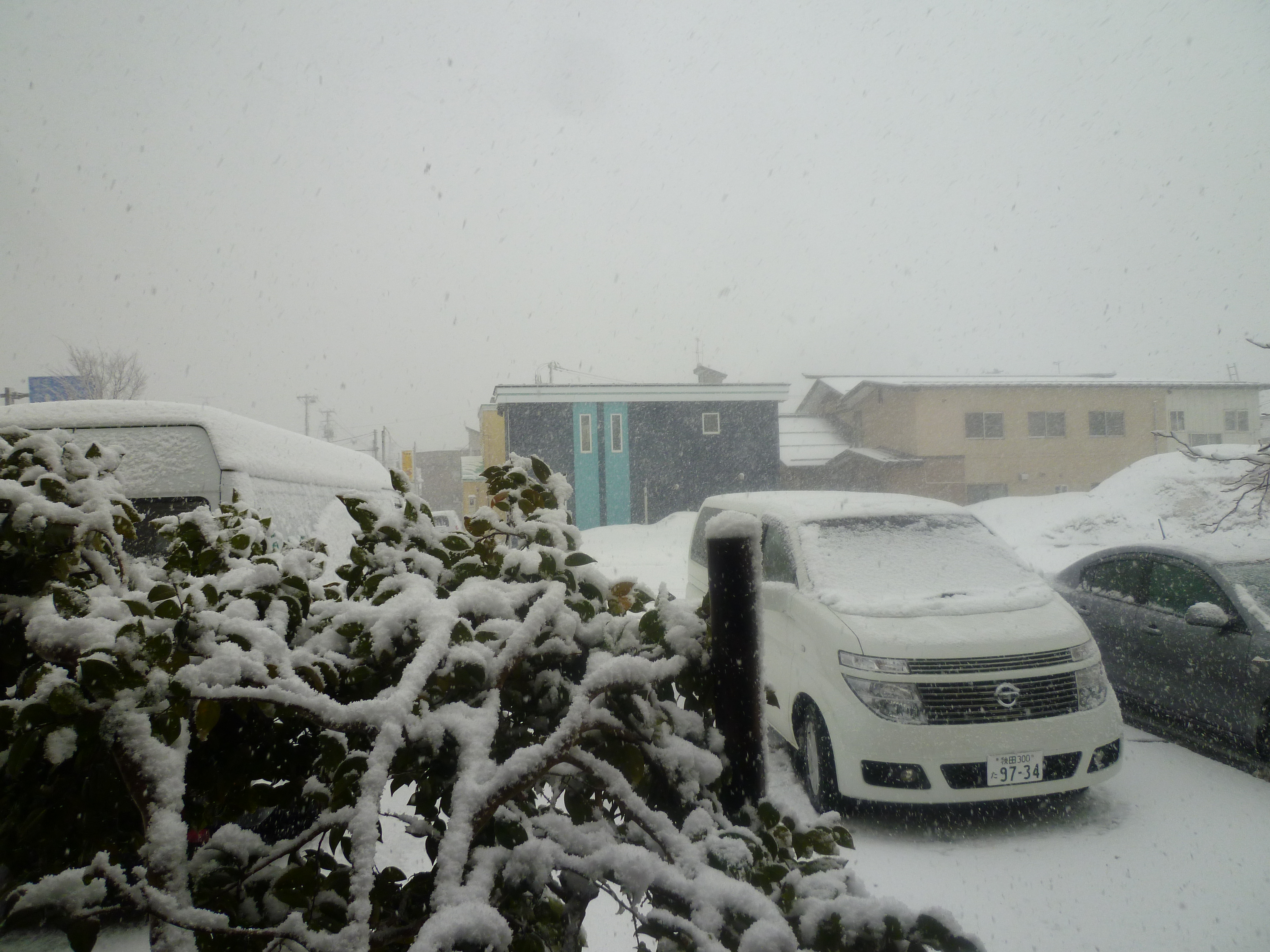 http://www.fukukomachi.com/blog/photo/20120405.jpg