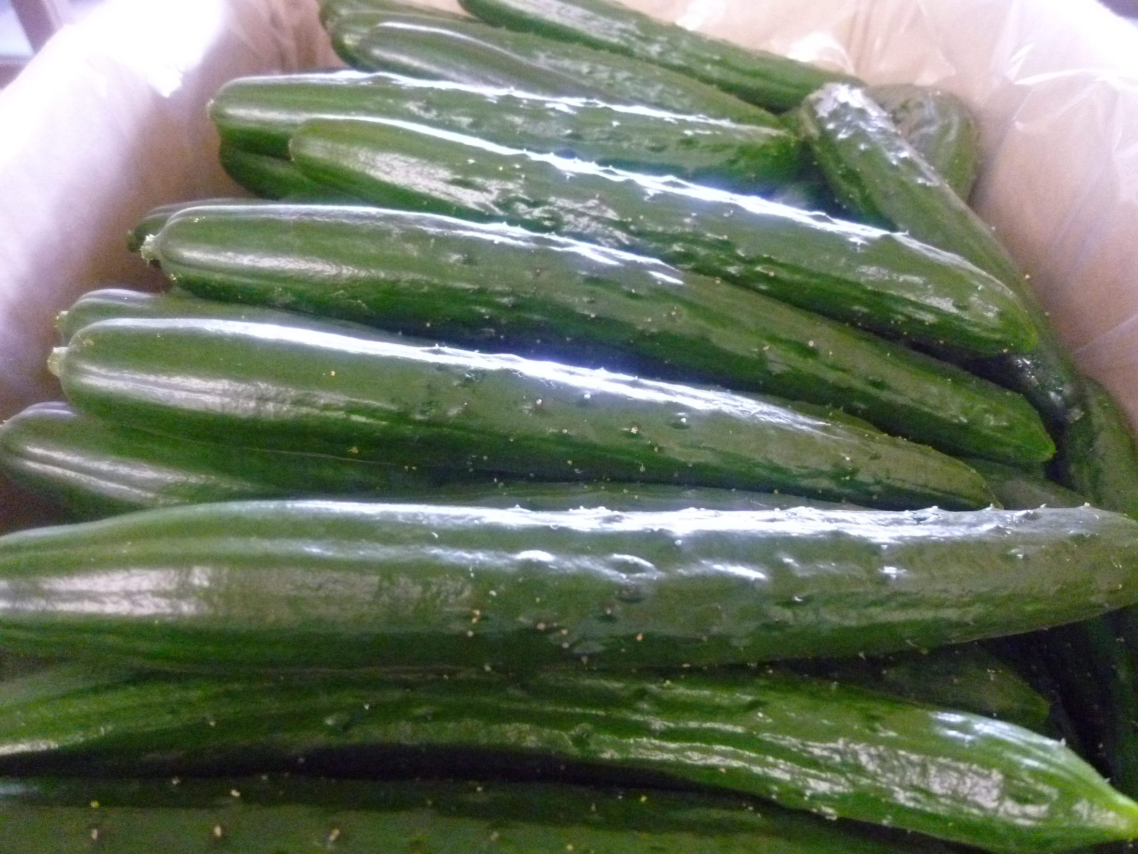 http://www.fukukomachi.com/blog/photo/20120614%20007.jpg
