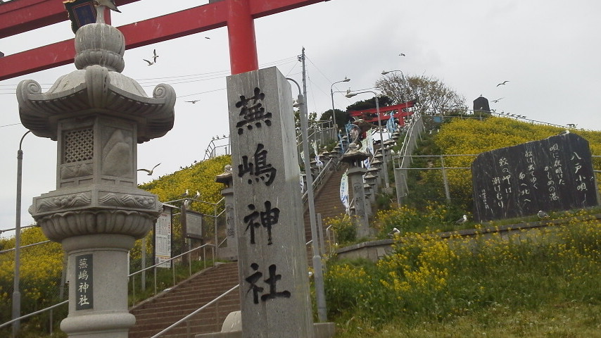 http://www.fukukomachi.com/blog/photo/2013052912090000.jpg