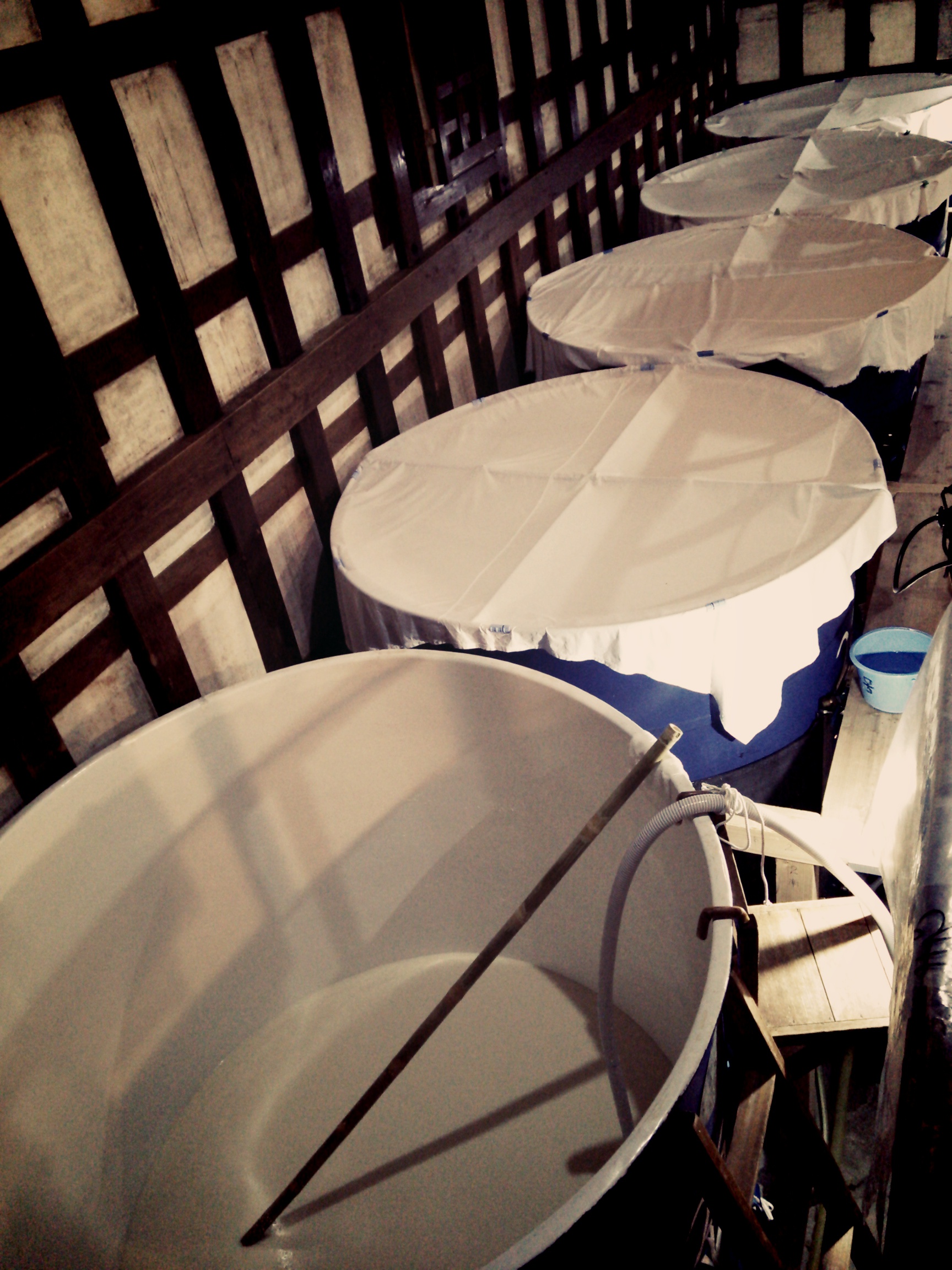 http://www.fukukomachi.com/blog/photo/C360_2015-11-18-09-40-10-098.jpg