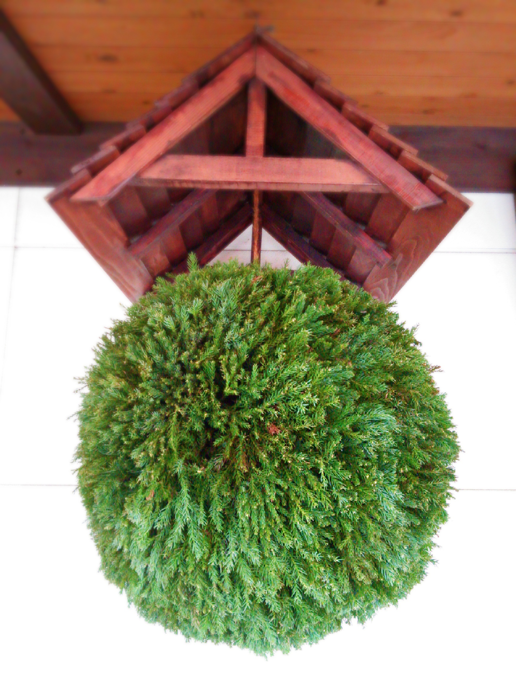 http://www.fukukomachi.com/blog/photo/C360_2015-12-31-16-10-54-567.jpg