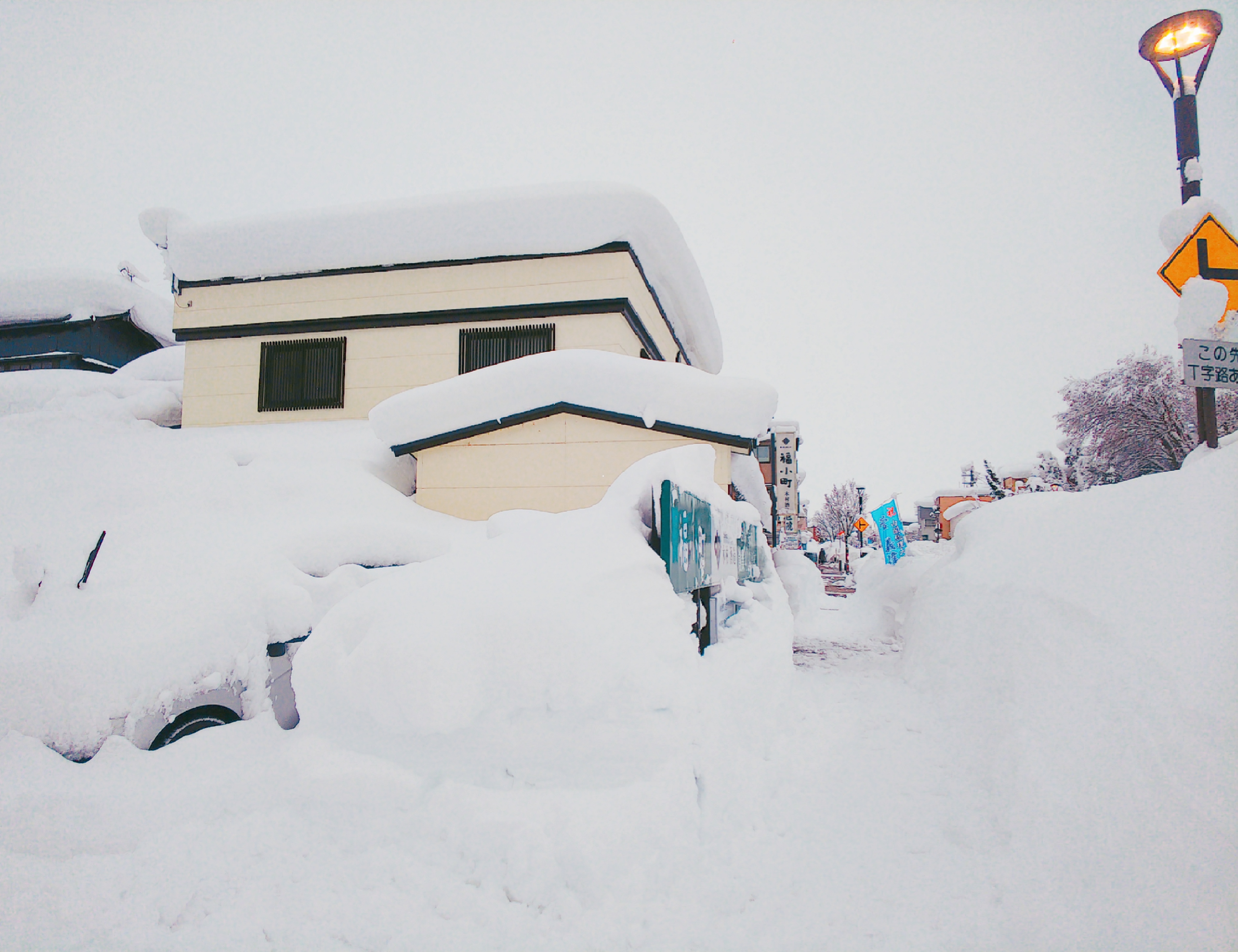 http://www.fukukomachi.com/blog/photo/C360_2021-01-05-15-44-24-495.jpg