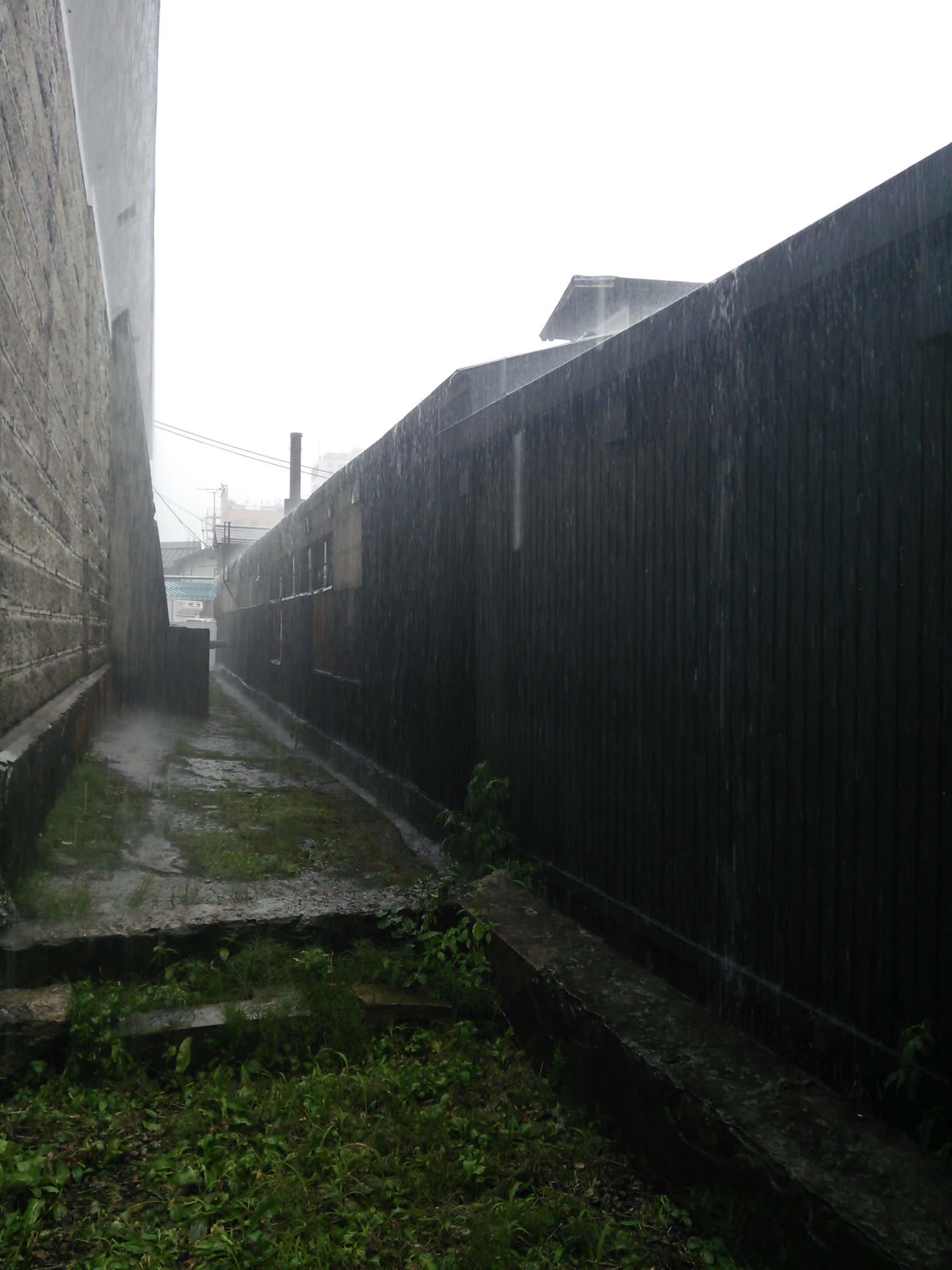 http://www.fukukomachi.com/blog/photo/DSC_0544.JPG