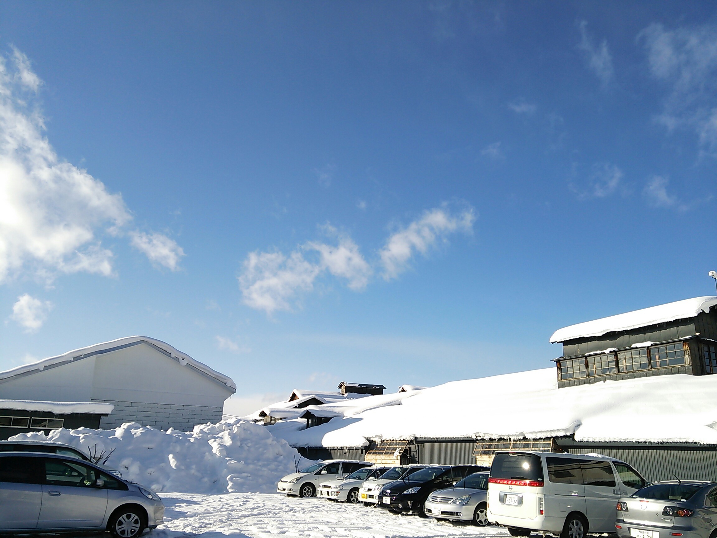http://www.fukukomachi.com/blog/photo/DSC_3015~2.jpg