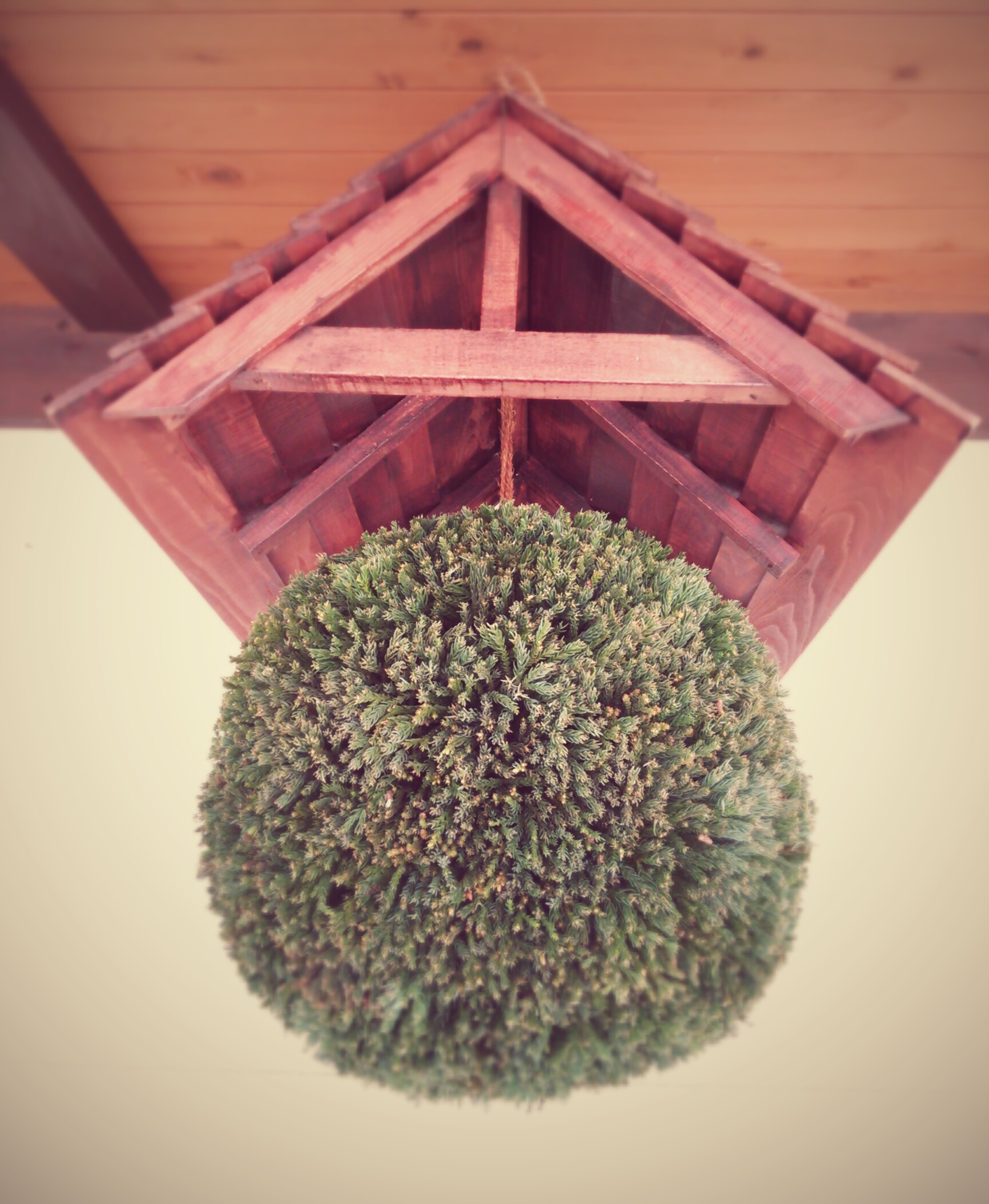 http://www.fukukomachi.com/blog/photo/DSC_3023~2.jpg