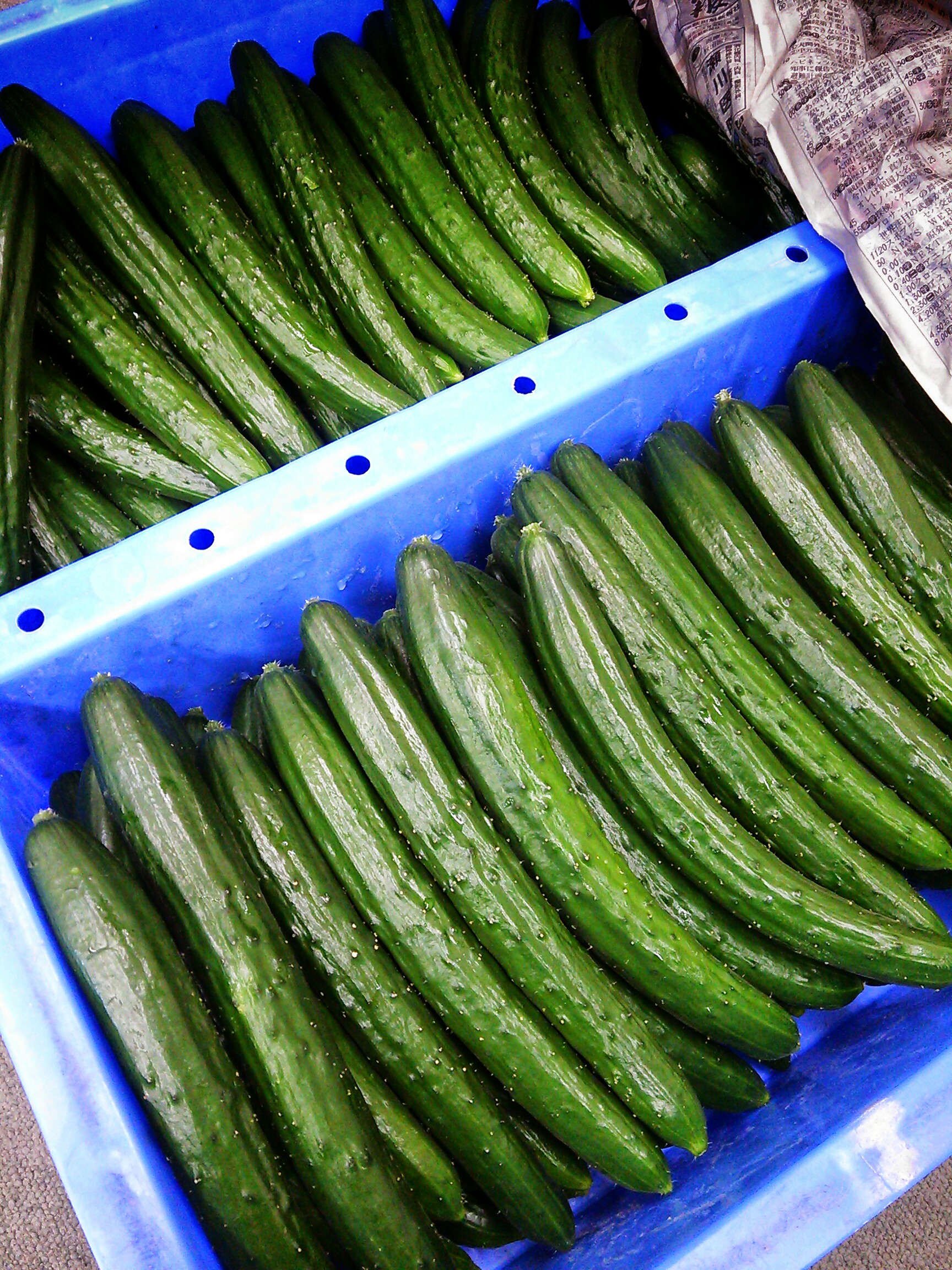 http://www.fukukomachi.com/blog/photo/DSC_3746~2.jpg