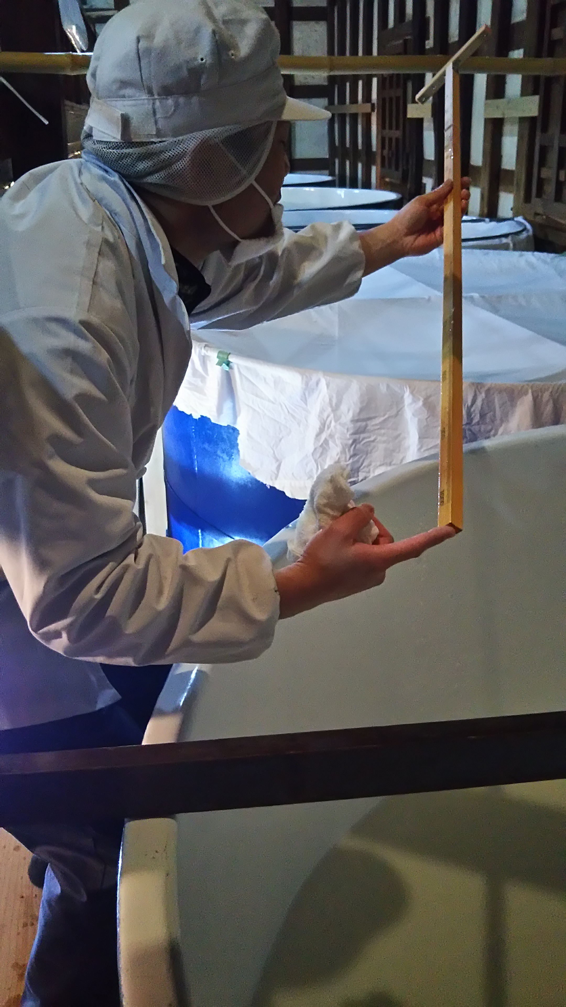 http://www.fukukomachi.com/blog/photo/DSC_4430.JPG
