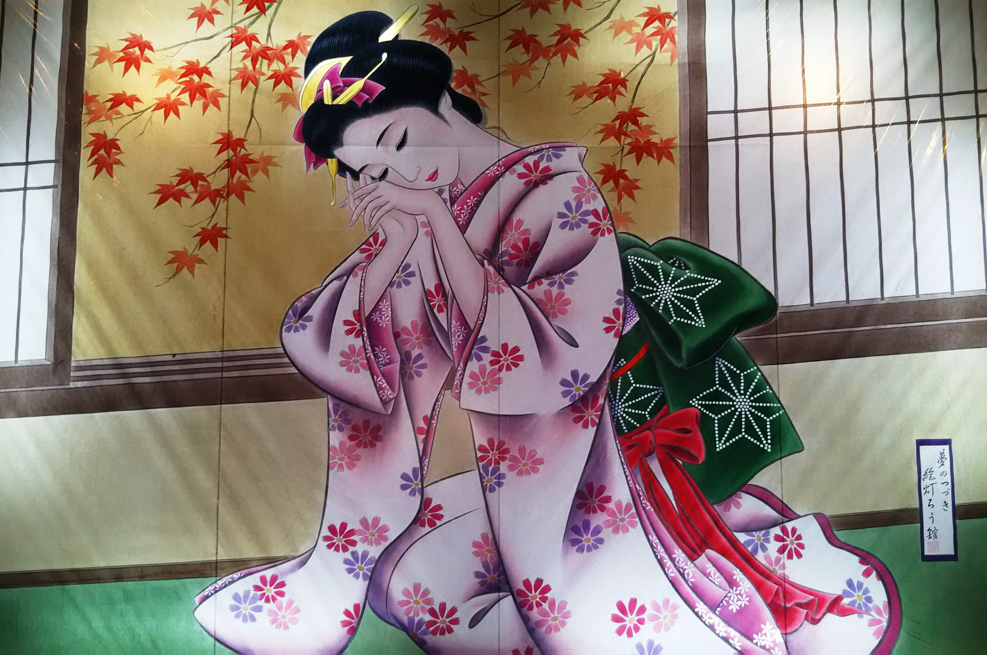 http://www.fukukomachi.com/blog/photo/DSC_5865.JPG