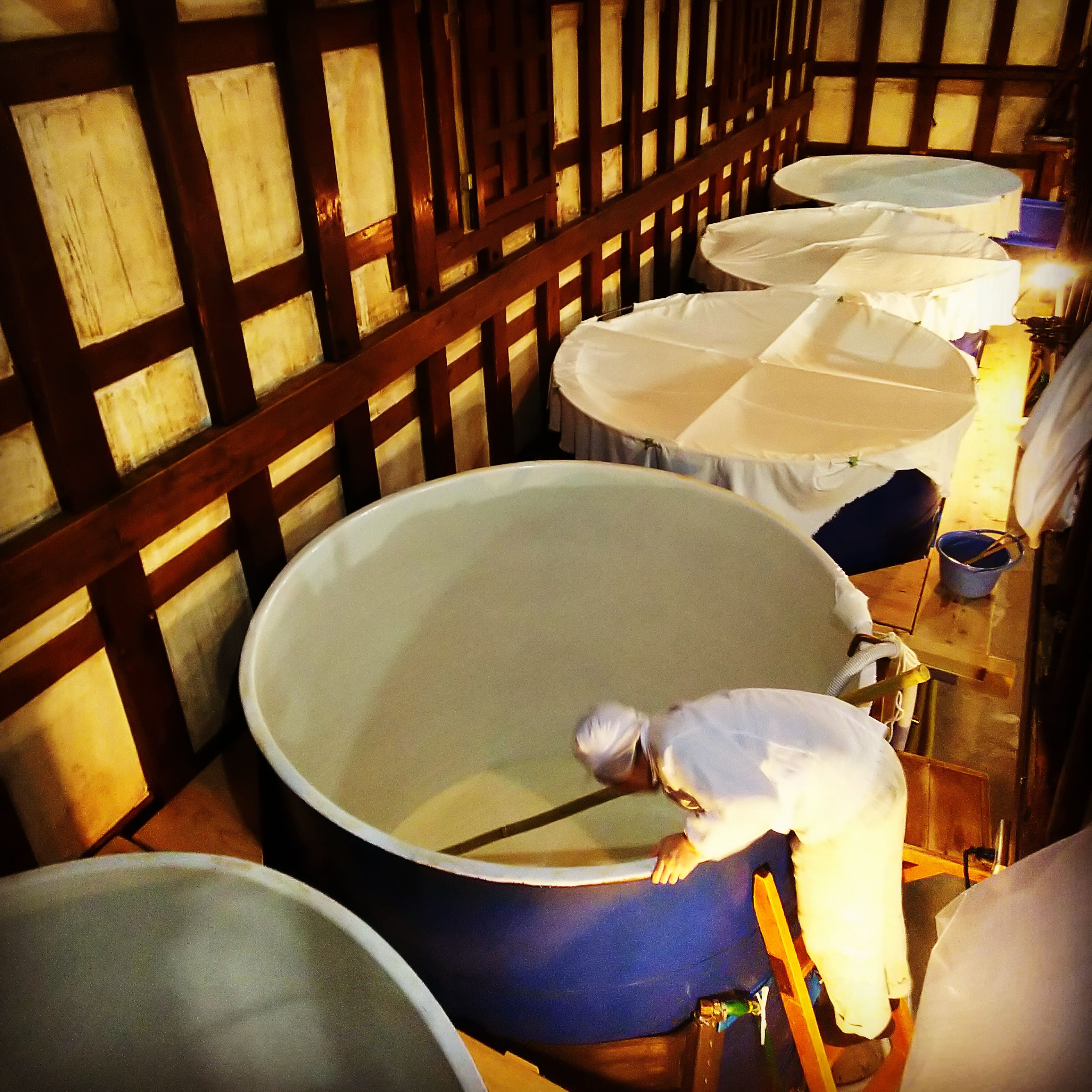 http://www.fukukomachi.com/blog/photo/IMG_20191130_201200_401.jpg