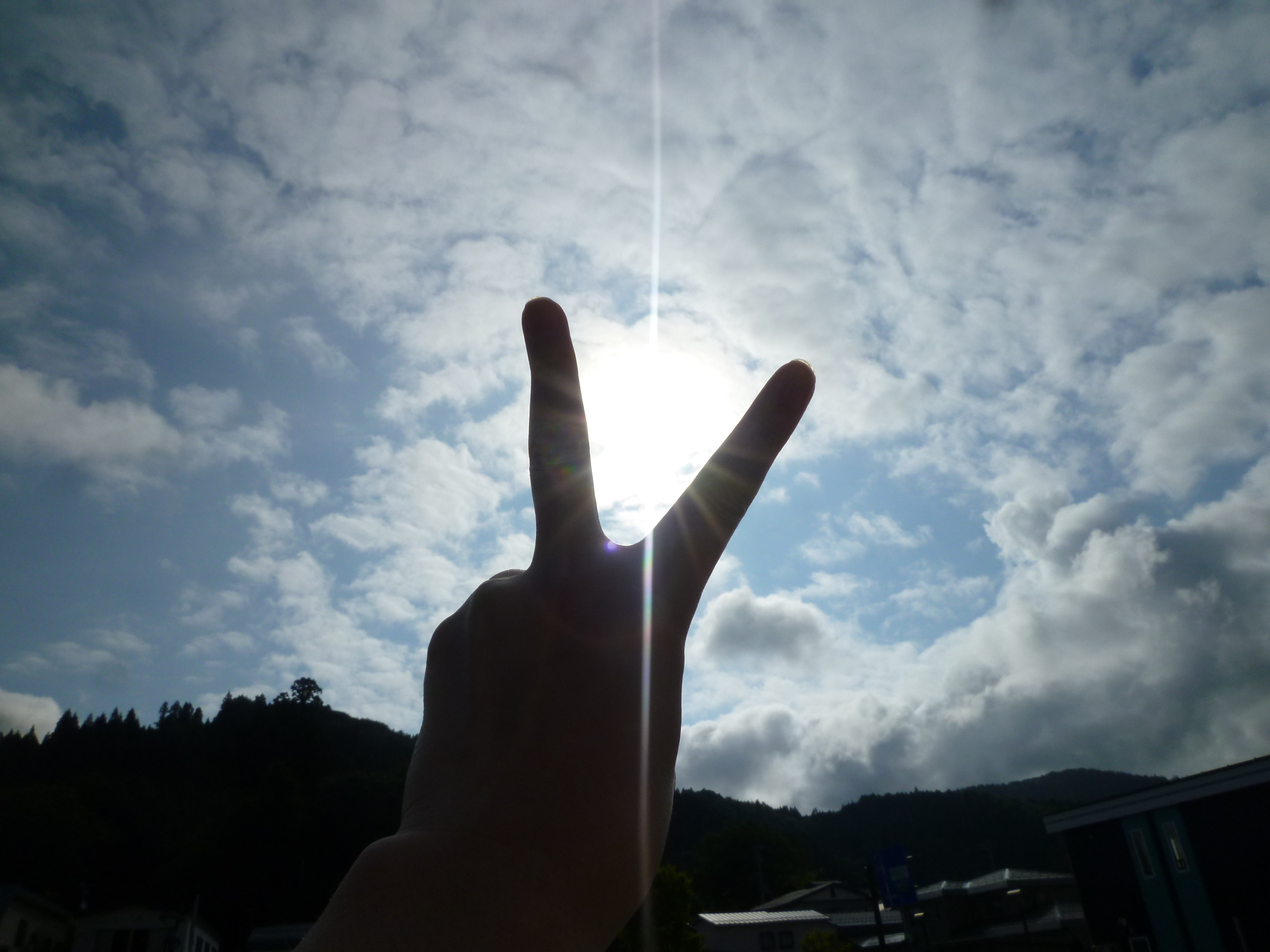 http://www.fukukomachi.com/blog/photo/P1030195.JPG