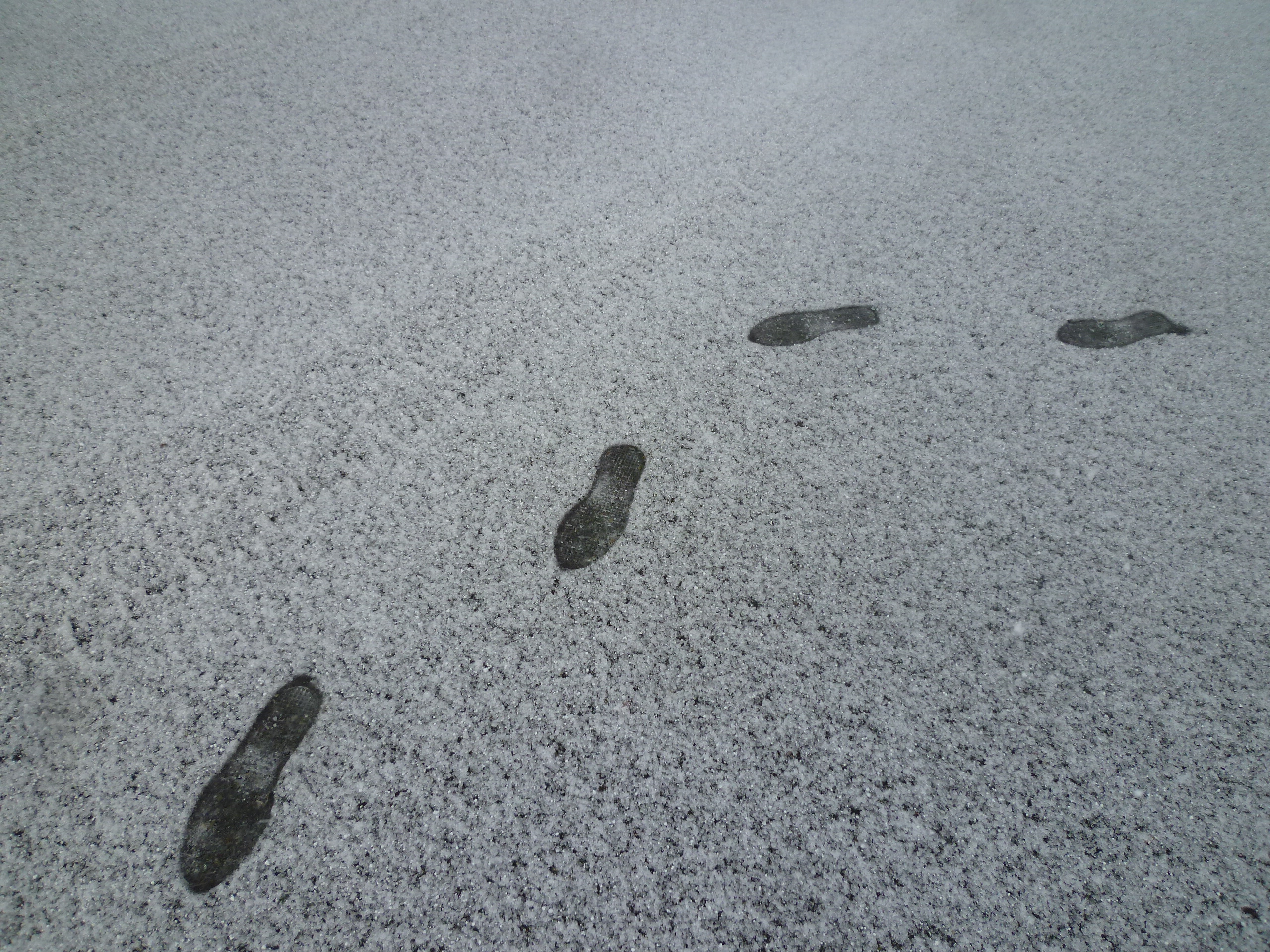 http://www.fukukomachi.com/blog/photo/P1030883.JPG