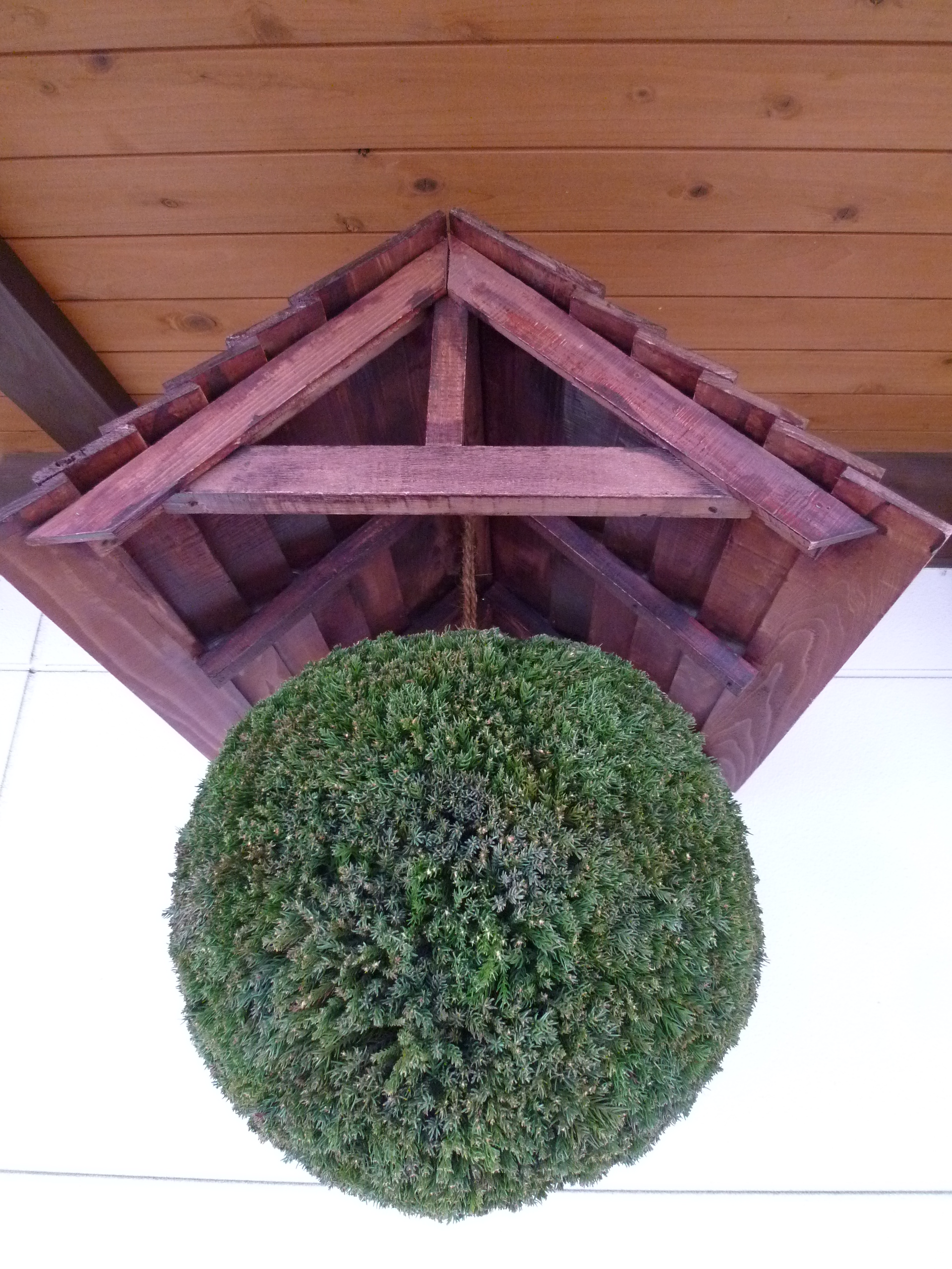 http://www.fukukomachi.com/blog/photo/P1050278.JPG