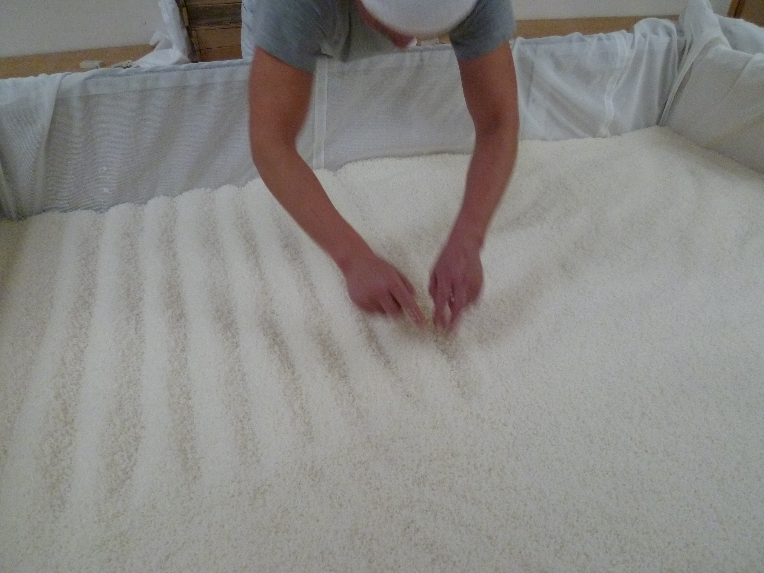 http://www.fukukomachi.com/blog/photo/P1050315.JPG
