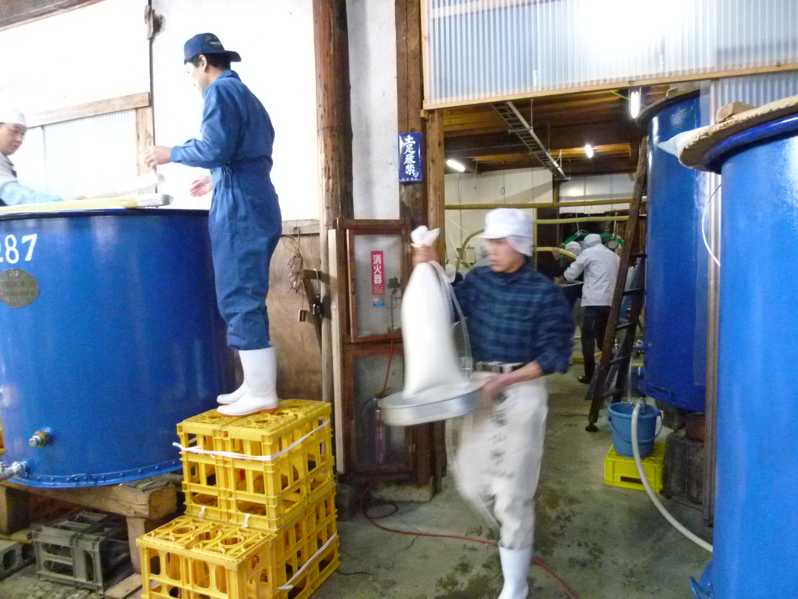 http://www.fukukomachi.com/blog/photo/P1050346.JPG