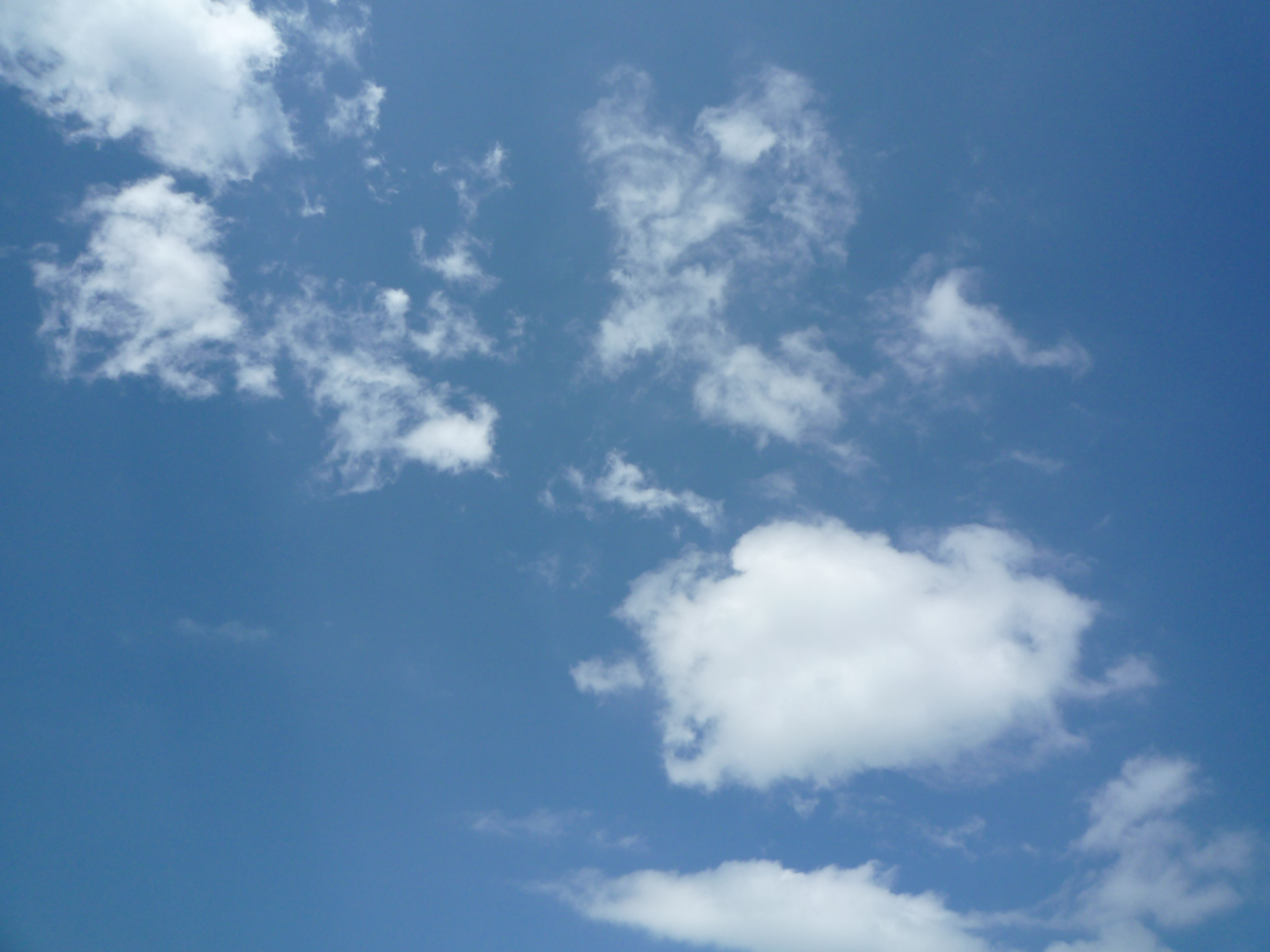 http://www.fukukomachi.com/blog/photo/karinntou.jpg